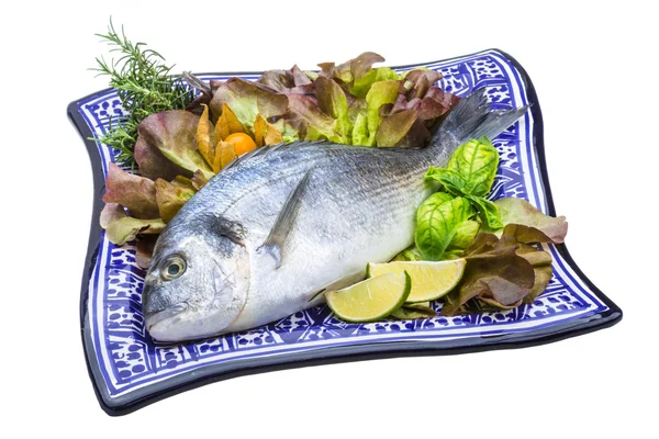 Fresh raw dorada — Stock Photo, Image