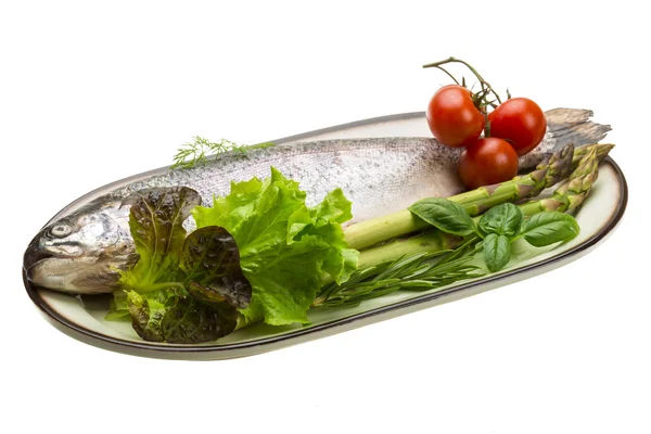 Fresh raw rainbow trout — Stock Photo, Image