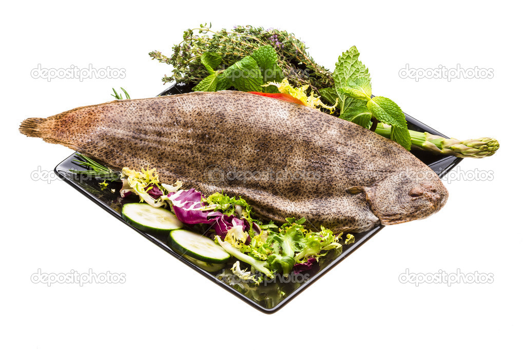 fish dover sole - 图库照片