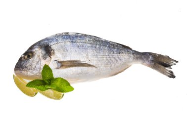 taze çiğ dorada