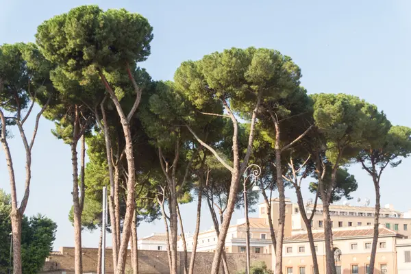 Roma, Itália. Detalhes arquitetônicos típicos da cidade velha — Fotografia de Stock