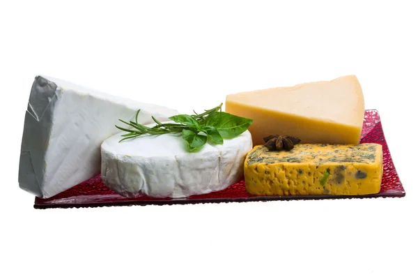 Variety cheese assortment — Stock Photo, Image