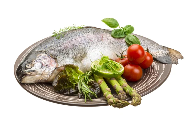 Fresh raw rainbow trout — Stock Photo, Image