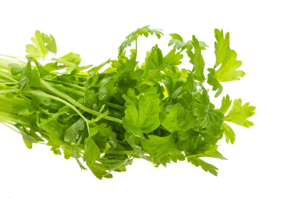 Celery — Stock Photo, Image