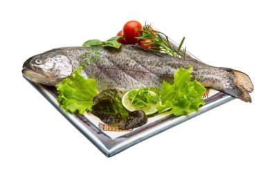 taze çiğ Gökkuşağı alabalığı