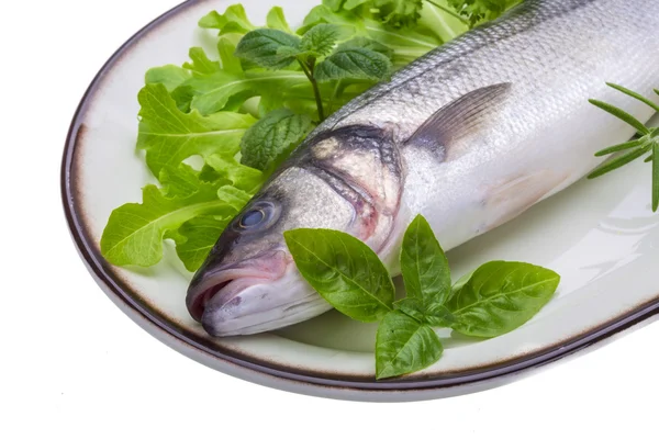 Raw seabass — Stock Photo, Image