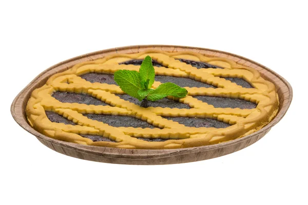 민트와 월 귤 나무속 케이크 — 스톡 사진