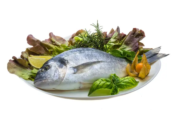 Fresh raw dorada — Stock Photo, Image