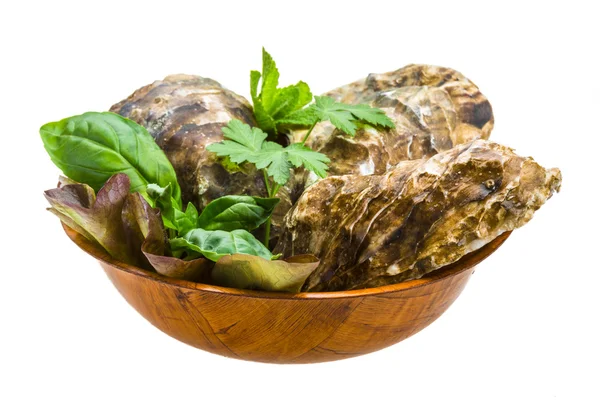 Fresh oyster — Stock Photo, Image