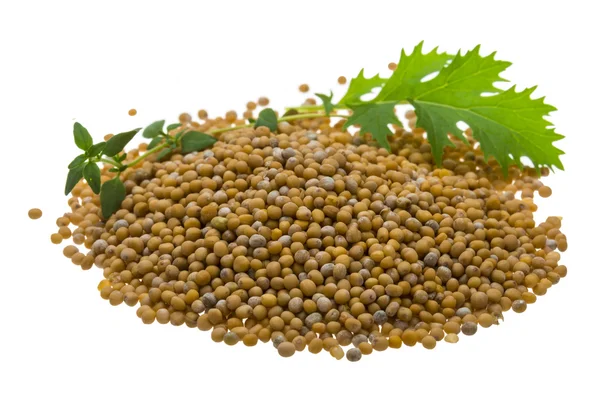 Mustard seeds — Stock Photo, Image