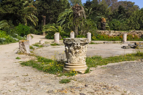 Oude ruïnes Carthago — Stockfoto