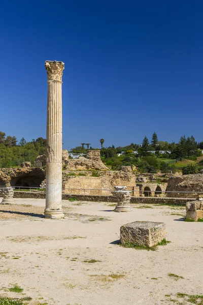 Gamla Karthago ruiner — Stockfoto