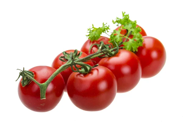 Tomatenzweig mit Petersilie — Stockfoto