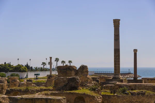 Ruines du vieux Carthage — Photo