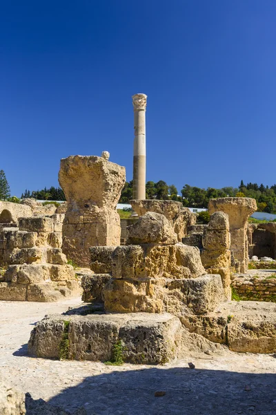 Ruines du vieux Carthage — Photo