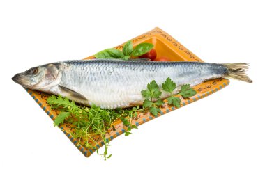 otlar ile marine edilmiş ringa balığı