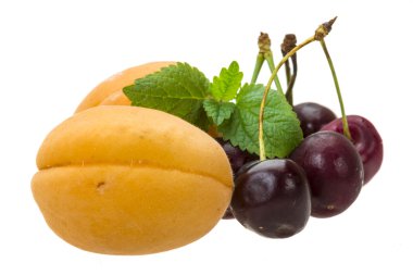 Olgun Kiraz ve kayısı