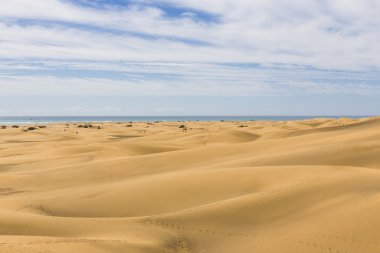 Maspalomas Duna - Kanarya adası Büyük Kanarya Çölü