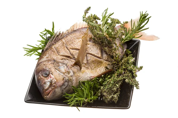 Grilled sea perch — Stock Photo, Image
