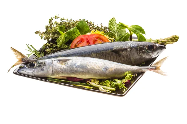 Atlantic raw sardine — Stock Photo, Image