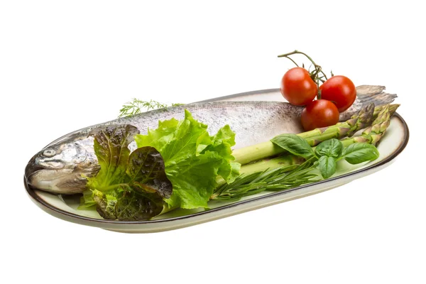 Fresh raw rainbow trout — Stock Photo, Image