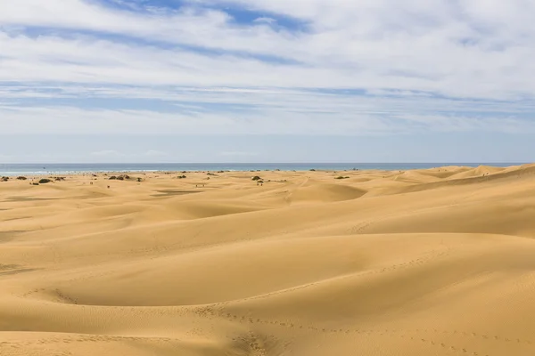 Maspalomas Duna - Wüste auf der Kanarischen Insel Gran Canaria — Stockfoto