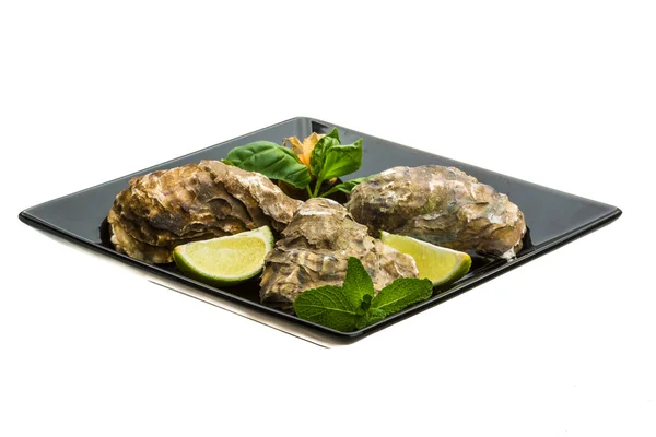 Verse oesters — Stockfoto