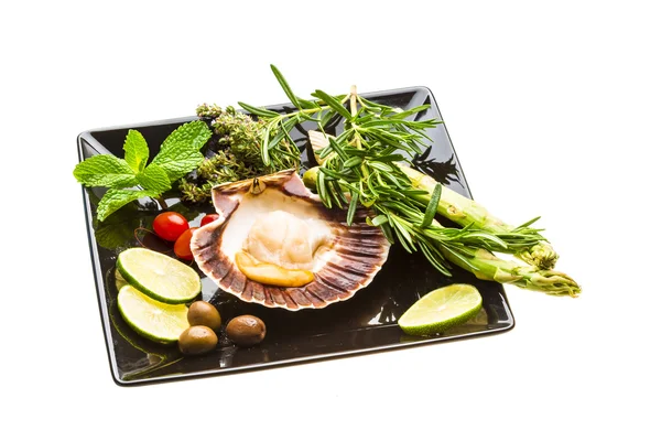 Scallop with asparagus, lime, mint and rosemary — Stock Photo, Image