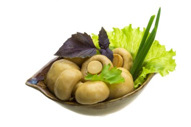 Olgun taze champignon