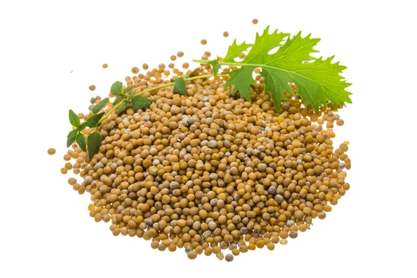 Mustard seeds — Stock Photo, Image