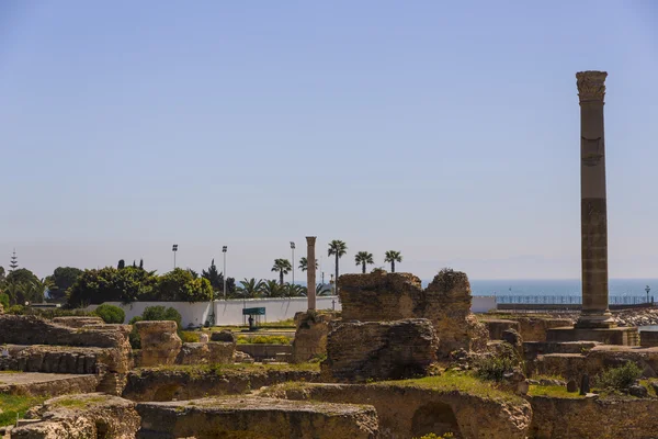 Vecchie rovine di Cartagine — Foto Stock