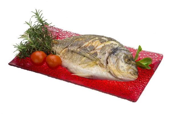 Dorado grilled — Stock Photo, Image