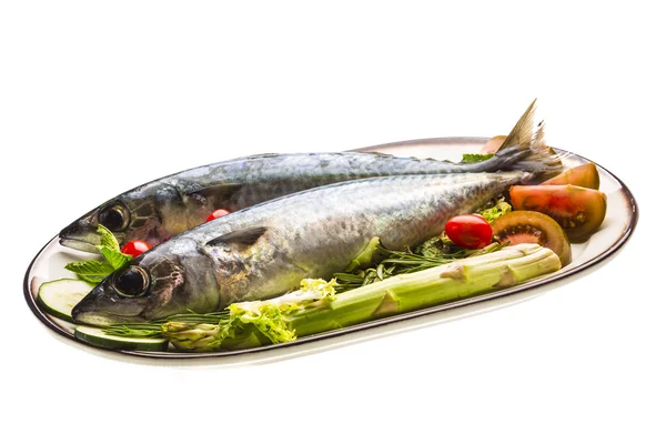 Atlantic raw sardin — Stockfoto