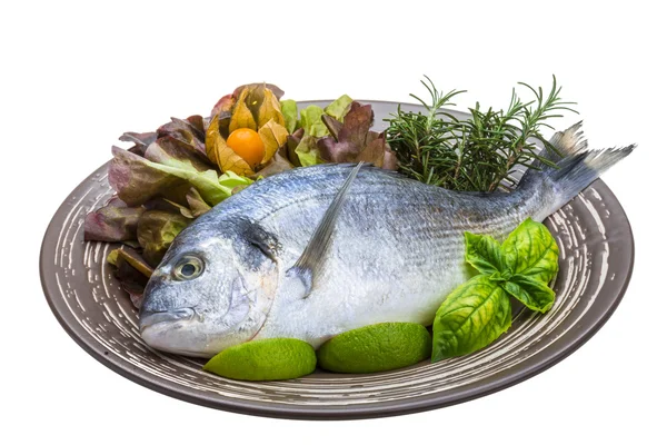 Fresh raw dorada — Stock Photo, Image