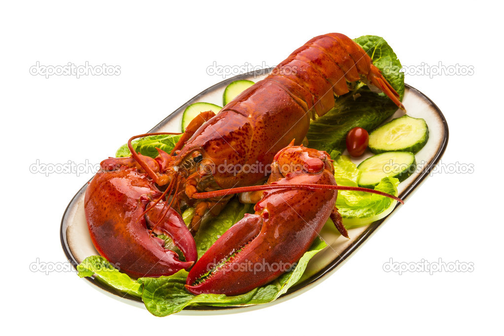 Large Lobster