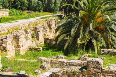 eski Kartaca Harabeleri