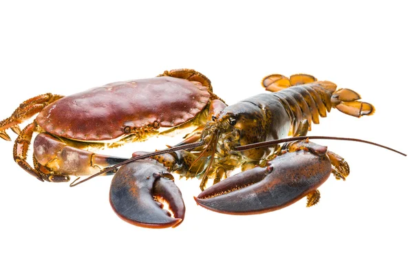 Raw Lobster and Crab — Stock Photo, Image