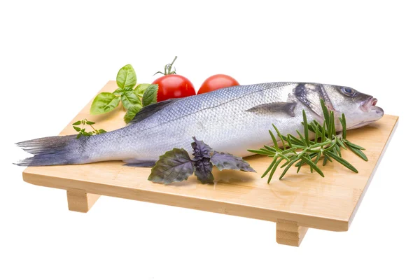 Raw seabass — Stock Photo, Image