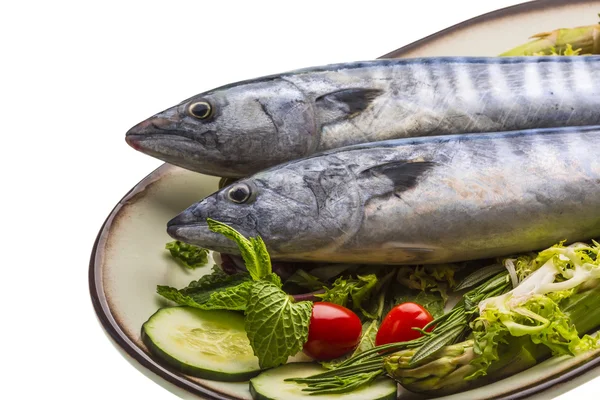 Fresh Atlanticmackerel — Stock Photo, Image