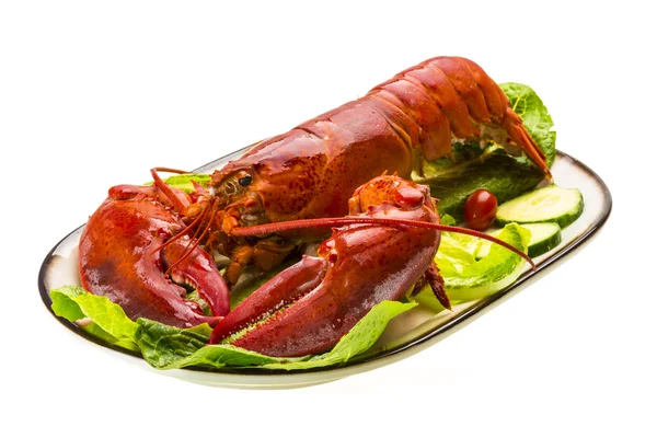 Duże homara — Zdjęcie stockowe