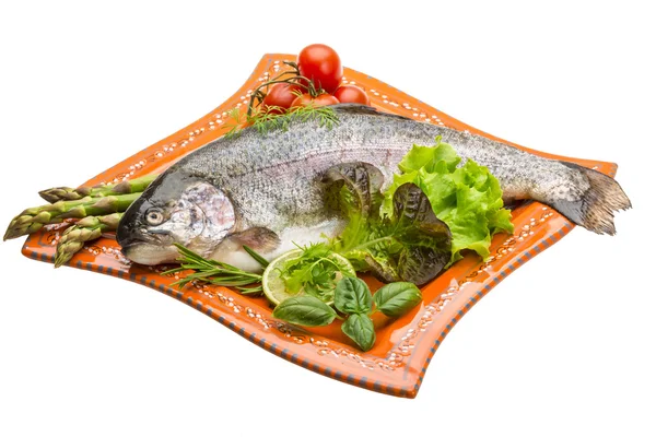 Fresh raw rainbow trout — Stock Photo, Image