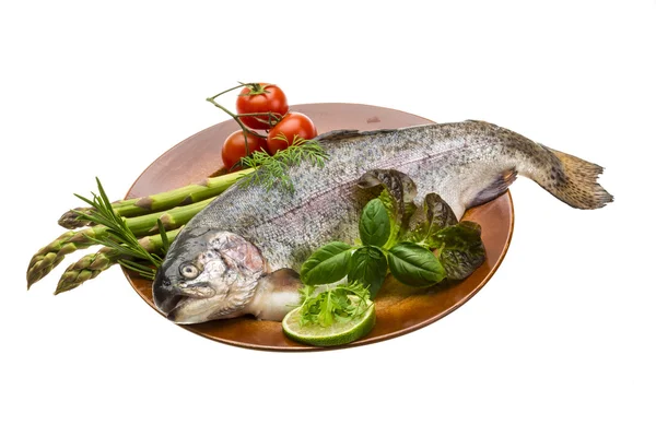 Fresh raw rainbow trout — Stock Photo, Image