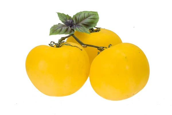 Pomidorowym żółty jasny — Zdjęcie stockowe