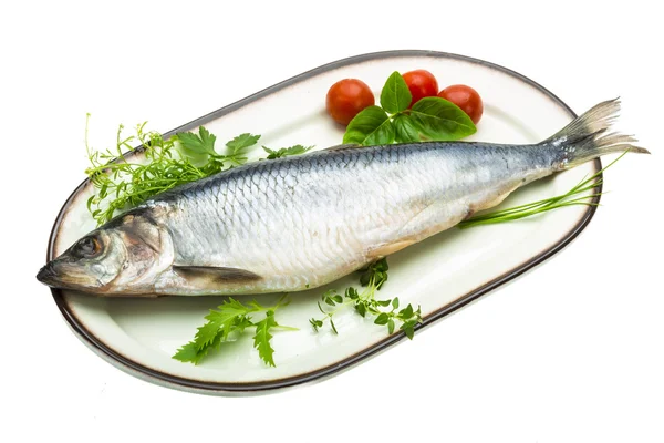 Marinated herring with herbs — Stock Photo, Image