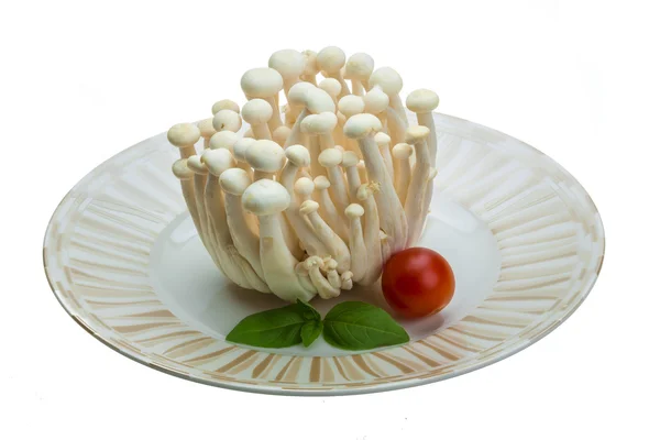 Японский гриб — стоковое фото