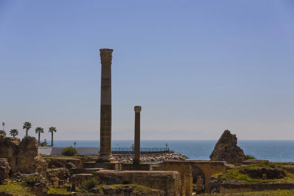 Antiguas ruinas de Cartago — Foto de Stock