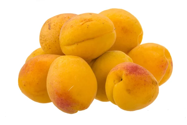 Gelb leuchtende Aprikose — Stockfoto