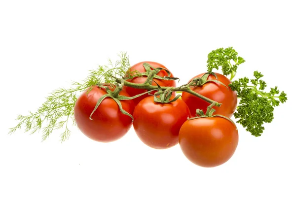 Tomates rojos maduros en la rama —  Fotos de Stock