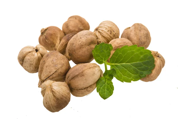 Cardamón — Foto de Stock