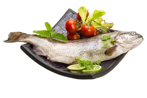 Fresh raw rainbow trout — Stock Photo, Image